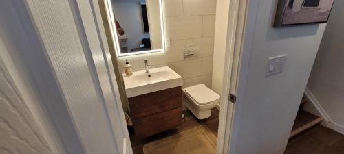 a bathroom with a sink and a toilet and a mirror at Private Studio Apartment House in Calgary