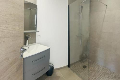 une salle de bain avec un lavabo et une douche dans l'établissement Antibes appartement, à Antibes