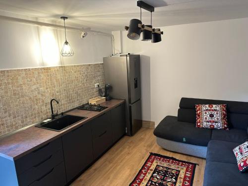 a kitchen with a sink and a refrigerator and a couch at Tiny Traditional House in Bucharest