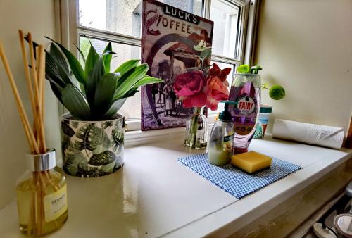 a counter with bottles of alcohol and flowers on a window sill at Studio in the heart of Kirkwall in Orkney