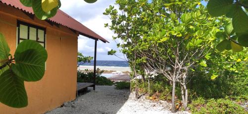 ファカラヴァ環礁にあるFAKARAVA - Teariki Lodge 1の木の家から海岸を望む