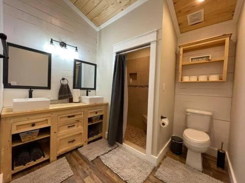 a bathroom with a toilet and a sink and a mirror at Jaxsonville Southern Guesthouse in Grenada