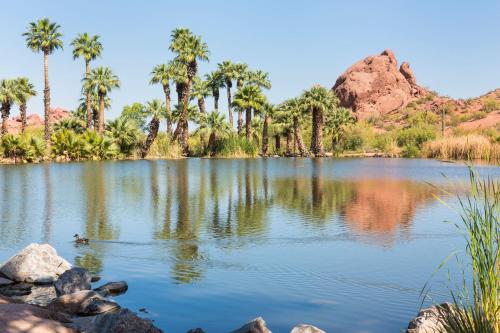 a lake in the desert with palm trees at Aloft Scottsdale in Scottsdale