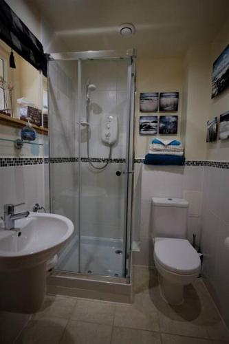 a bathroom with a shower and a toilet and a sink at Loch Lomond Unique Selfcontained bed+bathroom in Alexandria