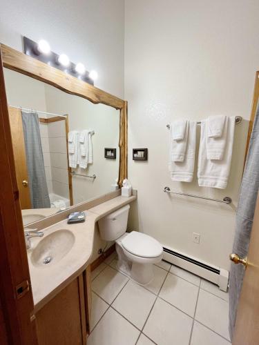 a bathroom with a toilet and a sink and a mirror at Cabin suite bed and breakfast in Woodland Park