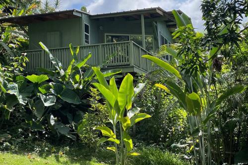 a green house in the middle of a garden at PonoMana Oasis's - Serenity Cottage in Captain Cook