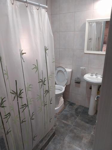 y baño con cortina de ducha, aseo y lavamanos. en MAIPU Apart en Maipú