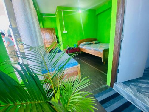 a green room with two beds and a plant at Aroma Homestay in Kalimpong