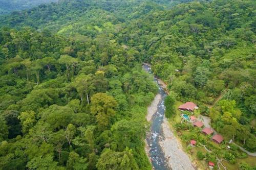 an aerial view of a river in a forest at Sloth Premium Riverfront Jungle Villa with Jacuzzi and Pool in Uvita