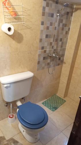a bathroom with a blue toilet and a shower at Alojamiento Los Amigos in Vaqueros