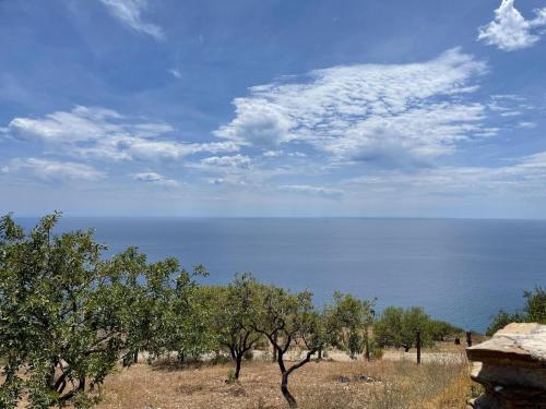 a view of the ocean from a hill with trees at Rural House Adra near Beaches & Views in Las Hoyas del Barranco