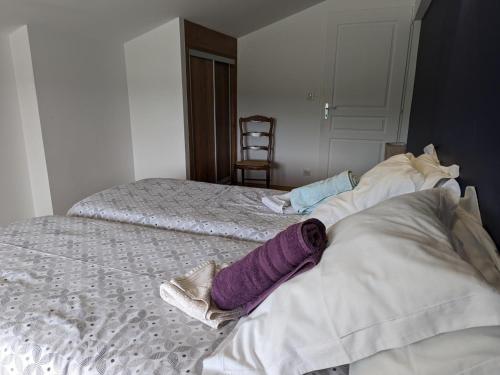 a bedroom with two beds and a purple blanket at Gîte Charentais avec piscine, terrasse, et pêche - confort moderne et charme rural - FR-1-653-87 in Salles-de-Barbezieux