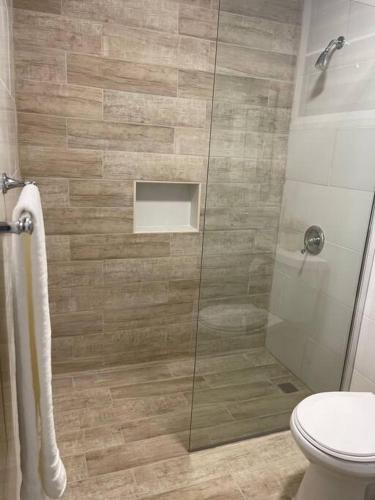 a bathroom with a glass shower with a toilet at Domo Arigato 3 in San Juan