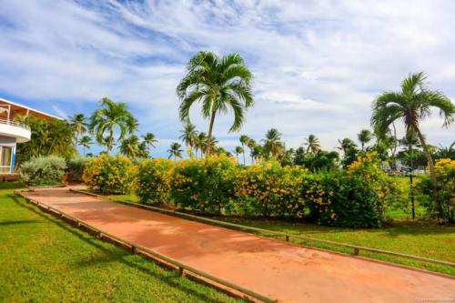 Imagen de la galería de Paradis studio & plage à 1 min, en Le Gosier