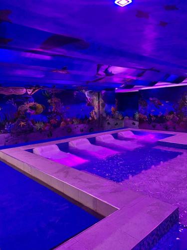 Πισίνα στο ή κοντά στο Treasure Island Hotel With Mini Water Adventure