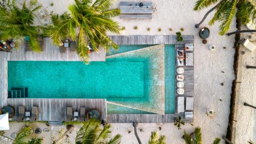 una vista aérea de una piscina con palmeras en Seed Resort, en Nembrala