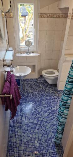 a bathroom with a sink and a toilet and a window at Charmantes Häuschen mit Garten und Parkplatz in Boltenhagen
