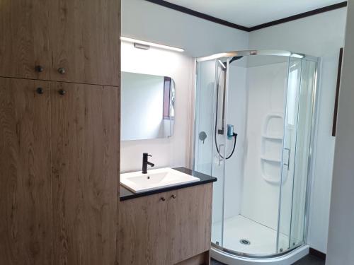 a bathroom with a sink and a shower at Half Moon Bay Motel in Auckland