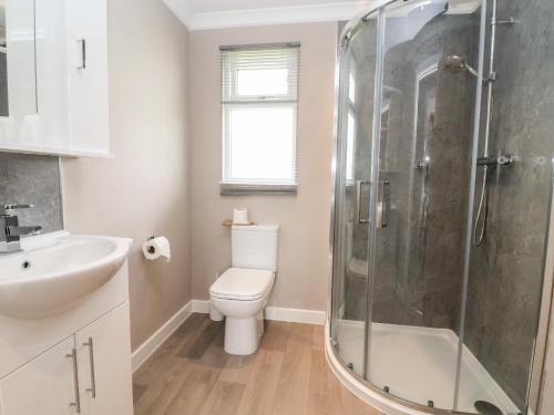 a bathroom with a shower and a toilet and a sink at Callow Lodge 15 in Hadnall