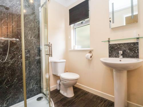 uma casa de banho com um WC, um lavatório e um chuveiro em Callow Lodge 5 em Hadnall