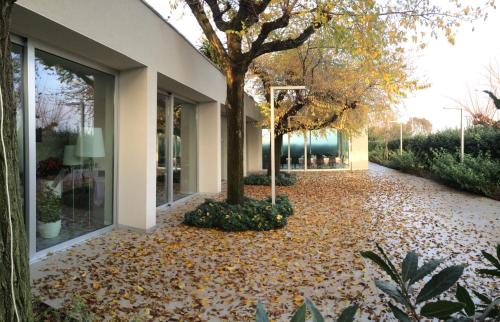 a sidewalk covered in leaves next to a building at Il Portico in Fano