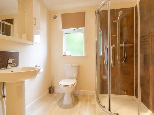 a bathroom with a shower and a toilet and a sink at Callow Lodge 22 in Hadnall