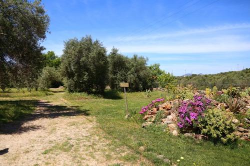 a garden with flowers and a dirt road at B&B Nuraximannu in Santadi