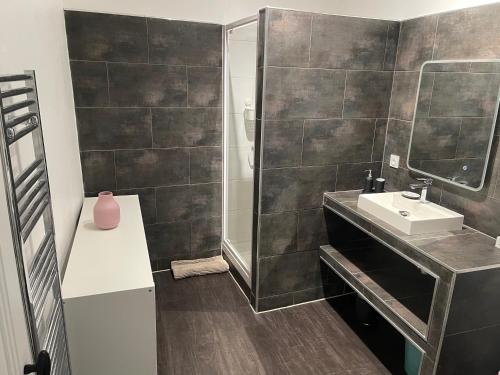 une salle de bain avec un lavabo et une douche dans l'établissement Chez angy et manu, à Marseille