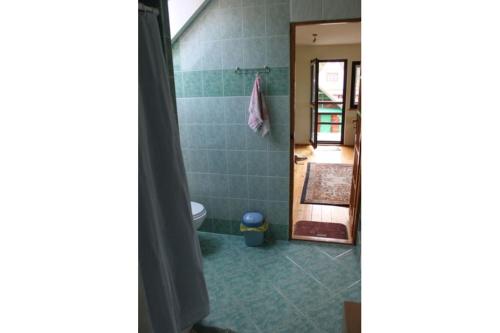 een badkamer met een douche, een toilet en een spiegel bij U Stefanów in Królowy Most