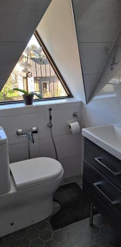 a bathroom with a toilet and a sink and a window at room to the east in Viimsi