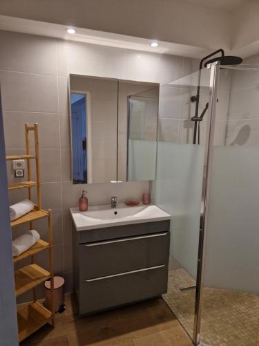une salle de bain avec un lavabo et une douche dans l'établissement Cozy Home Center of Antibes, à Antibes
