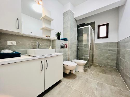 a bathroom with a toilet and a sink and a shower at Altheda Living Zamca C4 in Suceava