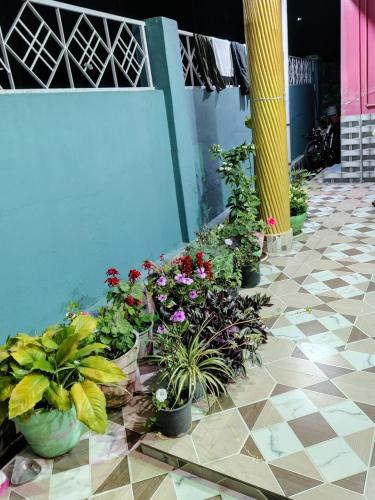 Un jardín fuera de The Nature View Homestay