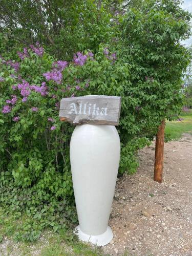 a white vase with a sign on it next to some flowers at Altja Villa-Cottage with sauna in Altja