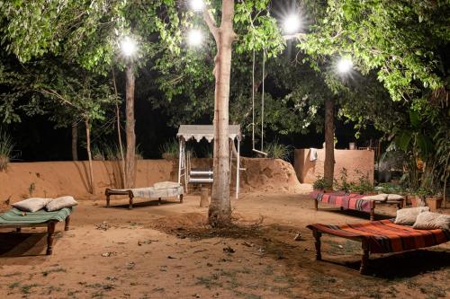 a group of benches in a park at night at Tiger Machan in Sawāi Mādhopur