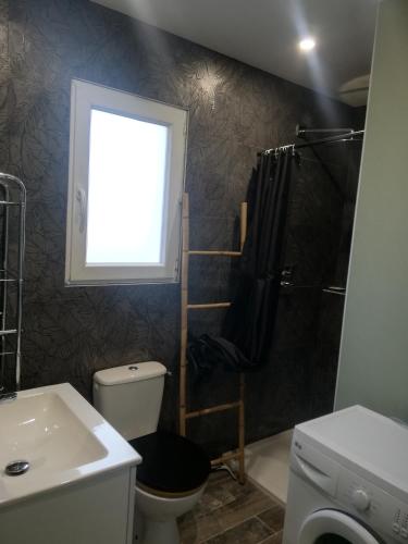 une salle de bain avec douche et toilettes et une fenêtre dans l'établissement Maison du causse, à Magalas