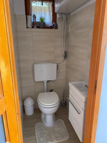 a small bathroom with a toilet and a sink at Panoráma Csopak in Csopak