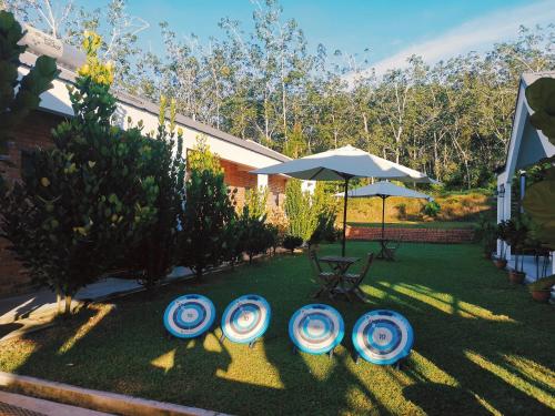 a group of frisbees on the grass in a yard at The Rubber Escape, Melaka in Melaka