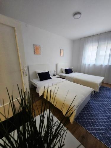 two beds in a room with a potted plant at MARIJA APARTMAN in Osijek