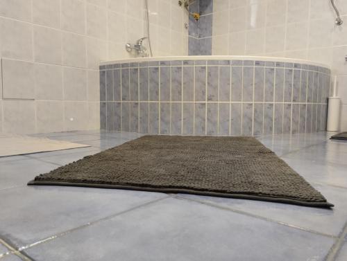 a rug on the floor of a bathroom with a shower at MARIJA APARTMAN in Osijek