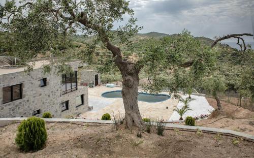 Gallery image of villa a in Skala Marion