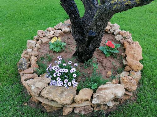 a flower bed around a tree in the grass at Casa Vacanze Villa Tropia in Camastra ex Solfara