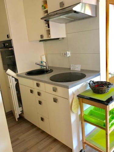 a small kitchen with a sink and a counter at Friesenhof in Friedrichskoog