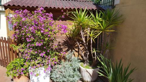 a bunch of flowers in pots next to a fence at I love Rapallo La casa AlMar in Rapallo
