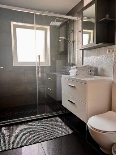 La salle de bains est pourvue d'une douche, de toilettes et d'un lavabo. dans l'établissement FerienwohnungNord, à Singen