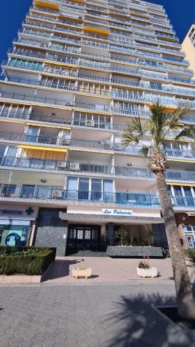 Estudio Las Palmeras 12 IF Benidorm