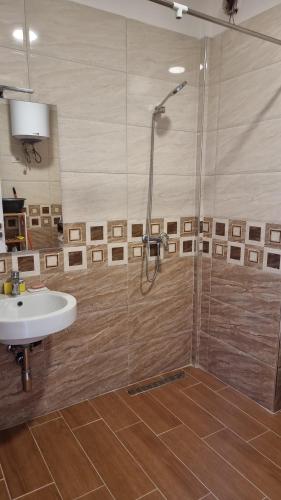 a bathroom with a shower and a sink at The Apartments in VALAMAR in Hamallë