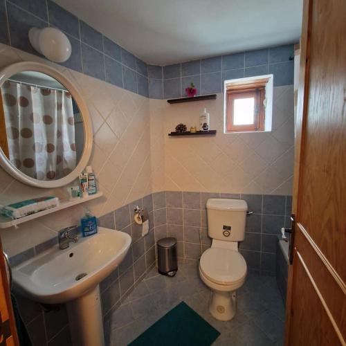 a bathroom with a toilet and a sink and a mirror at THE ROCK HOUSE - Beautiful countryside with mandarins oranges and olive trees,. Near Limassol at Eptagonia village. in Ephtagonia