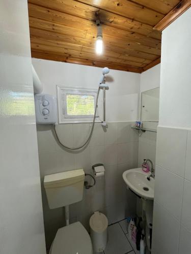 a bathroom with a toilet and a sink at Kikis Cottage in Antípaxos