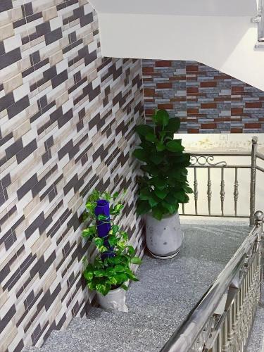 two potted plants on a balcony with a brick wall at Khách sạn Thanh Bình Bến Lức in Bến Lức